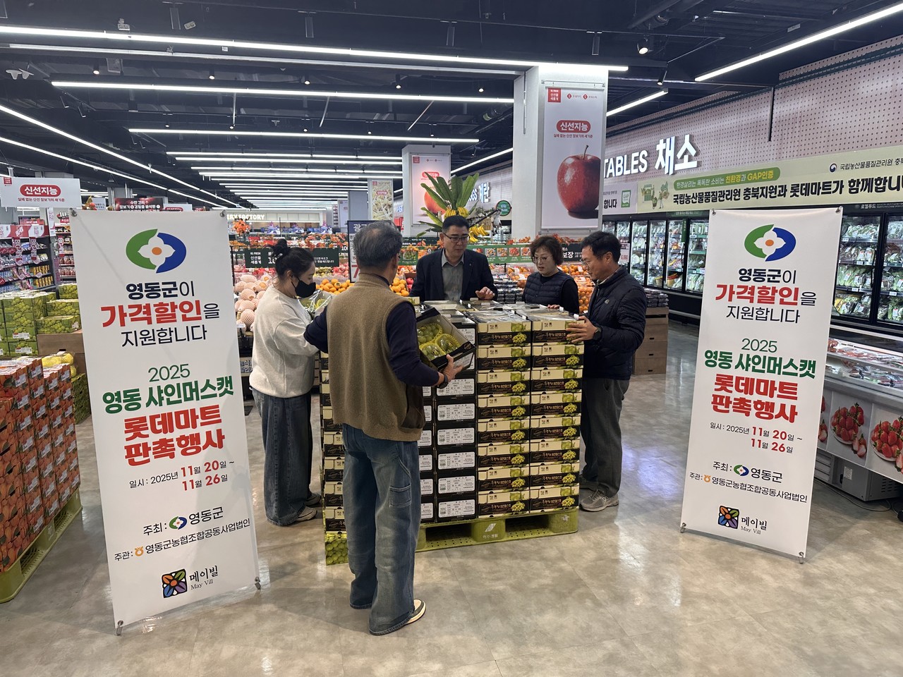 충북 영동군이 대표 특산물인 샤인머스캣 소비 촉진과 브랜드 가치 제고를 위해 본격적인 홍보에 나섰다. (사진제공=영동군)