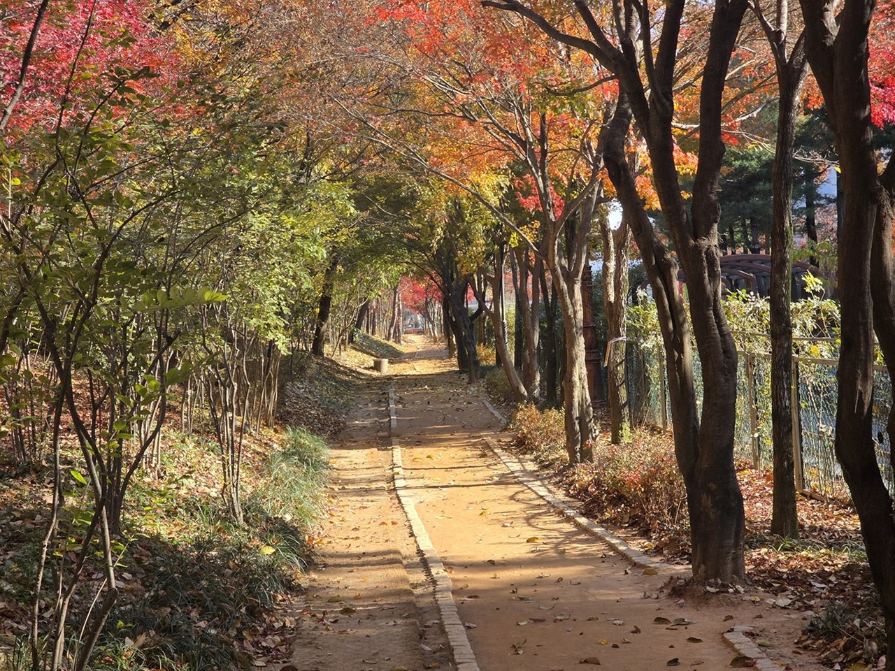 한밭수목원 맨발걷기 길.(사진제공=대전시)