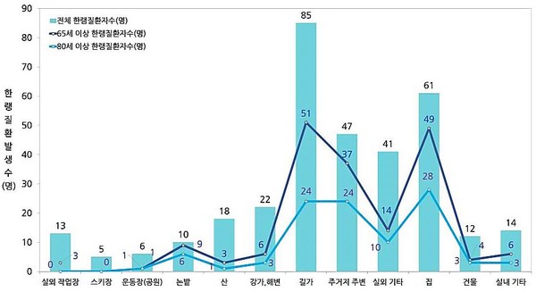 연령별 한랭질환자 장소별 발생현황(사진 출처=질병관리청)