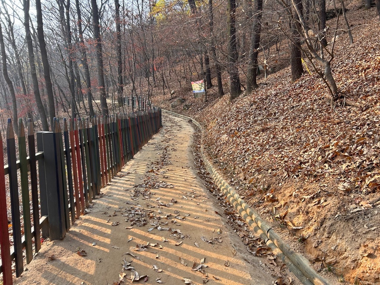 대전시가 보문산 '걷고 싶은 맨발길'을 새롭게 조성했다.(사진제공=대전시)