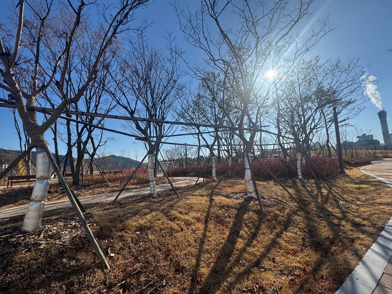 대전시는 본격적인 겨울철을 앞두고 공원과 가로수·휴양림 등 주요 녹지시설에 대한 월동 준비에 들어갔다고 3일 밝혔다. 가로수와 띠녹지엔 보온재 설치·가림막 조성으로 한파와 제설제 피해를 최소화하고, 공원에선 수도·전기 등 시설점검, 수목·초화류 동해 예방을 중점 추진한다. 또 휴양림은 폭설 대비를 위해 법면 보강·배수로 정비·시설 안전점검을 강화하며 안전한 겨울 녹지 환경을 조성할 예정이다. 