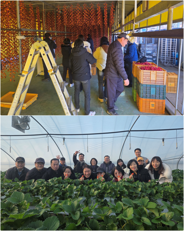 논산시 소셜미디어 서포터즈가 '2025 양촌곶감축제'를 소개하기 위해 사전 답사에 나섰다(사진제공=논산시)