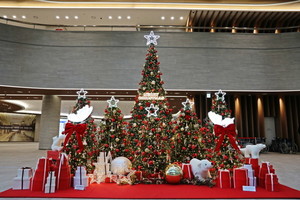 순천향대천안병원, 환자쾌유 기원 성탄트리 설치 - 뉴스 썸네일 이미지