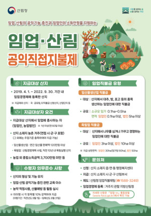 보령시, 임업·산림 공익직접지불금 신청 접수 - 뉴스 썸네일 이미지